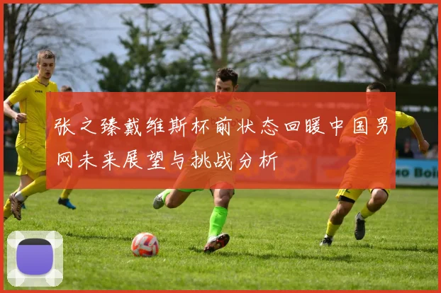 张之臻戴维斯杯前状态回暖中国男网未来展望与挑战分析
